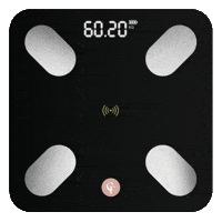 Bascula Inteligente Bluetooth
